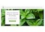 fix wix bugs, errors and wix website troubleshooting